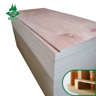 E1 contrachapado de cola para armario